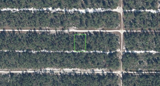 Photo of 613 PARAKEET AVENUE SEBRING FL 33872