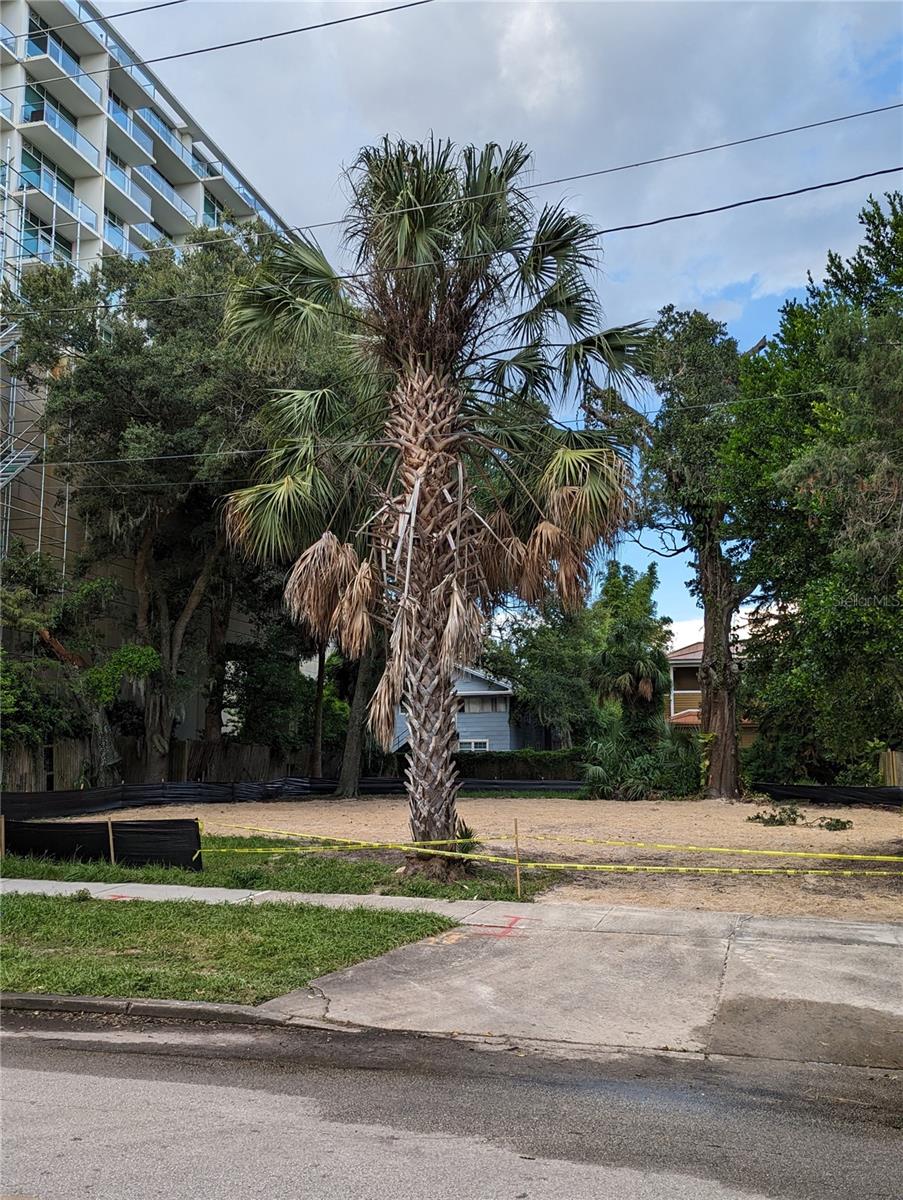 Photo of 617 E CHURCH STREET ORLANDO FL 32801