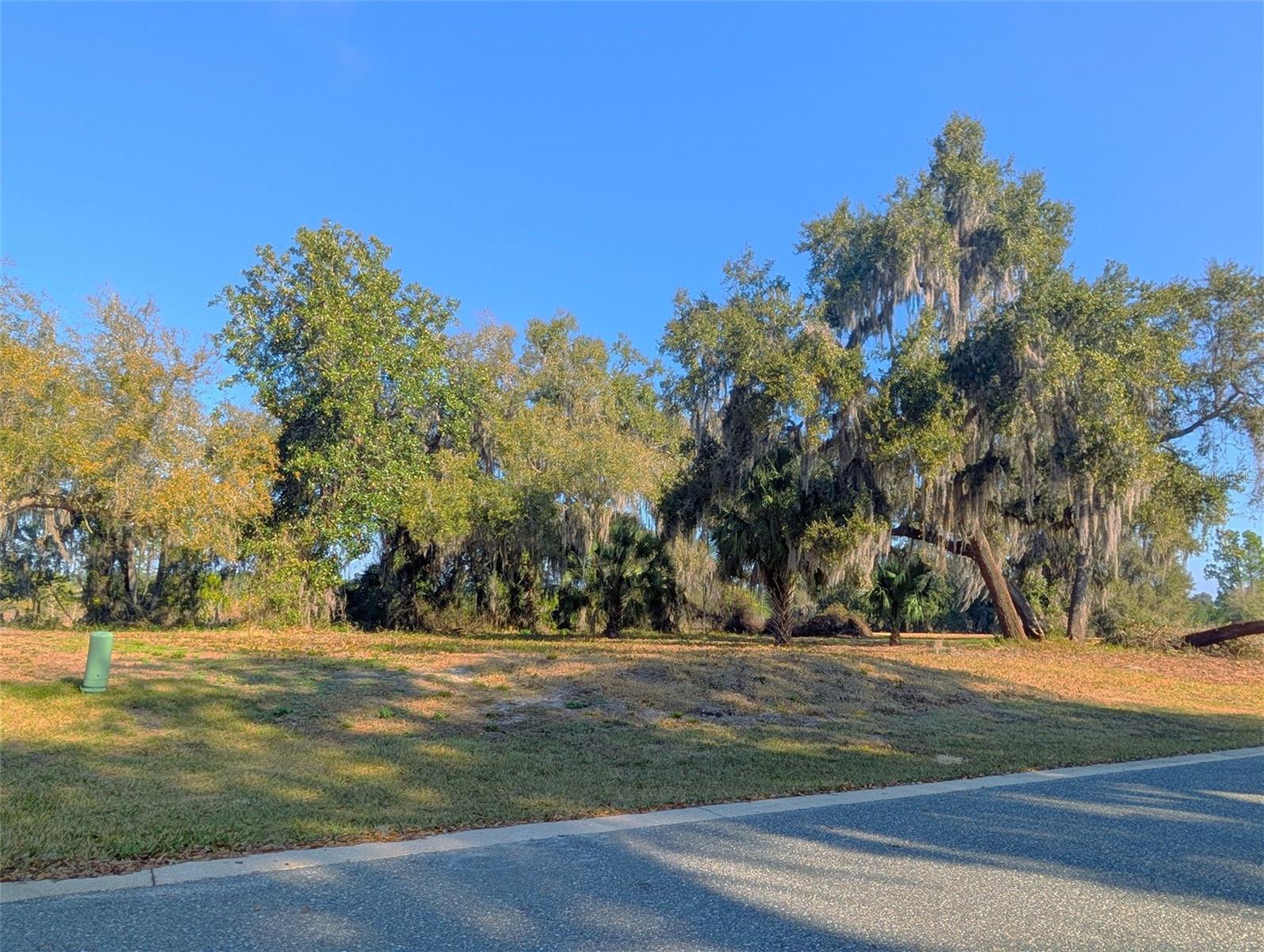 Photo of 446 LONG AND WINDING ROAD HOWEY IN THE HILLS FL 34737