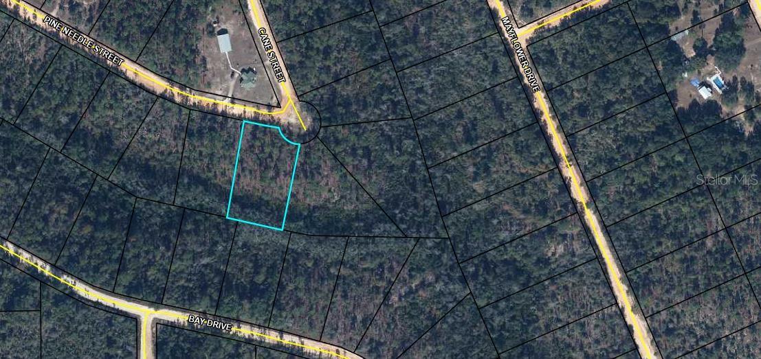 Photo of TBD PINE NEEDLE STREET MARIANNA FL 32448