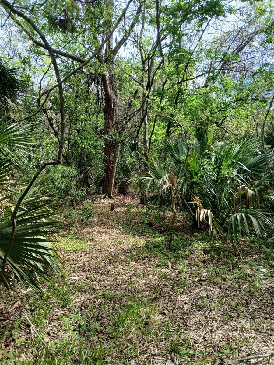 Photo of E HUBBARD AVENUE DELAND FL 32724