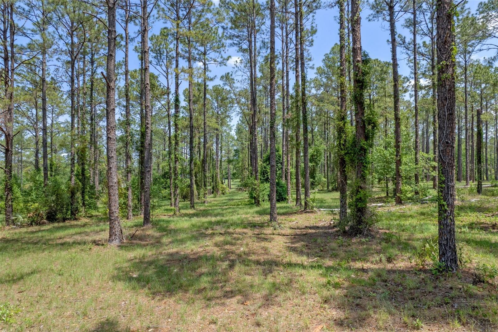 Photo of 35408 PINEGATE TRAIL EUSTIS FL 32736