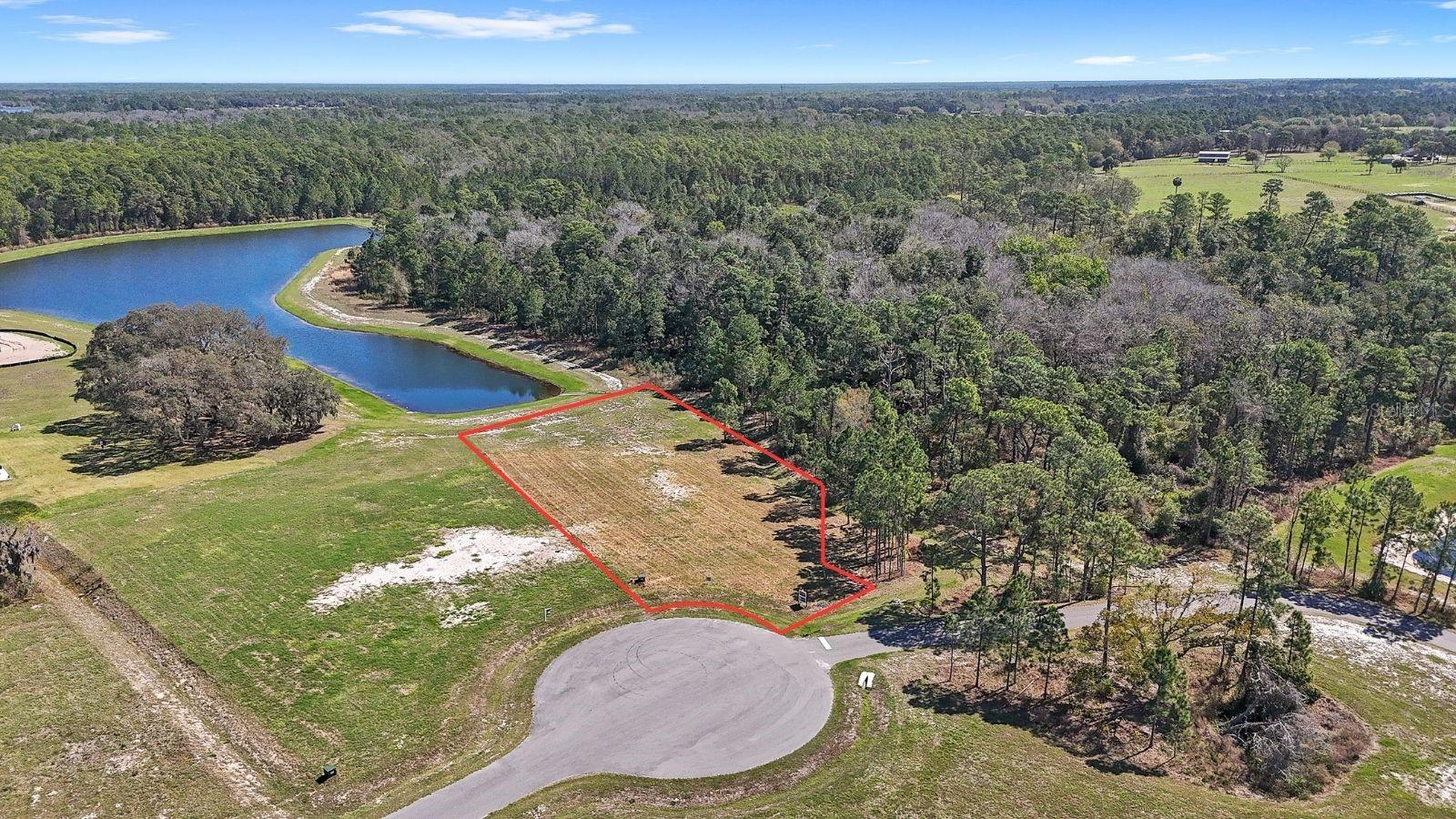 Photo of 20280 SHORELINE RANCH LANE UMATILLA FL 32784