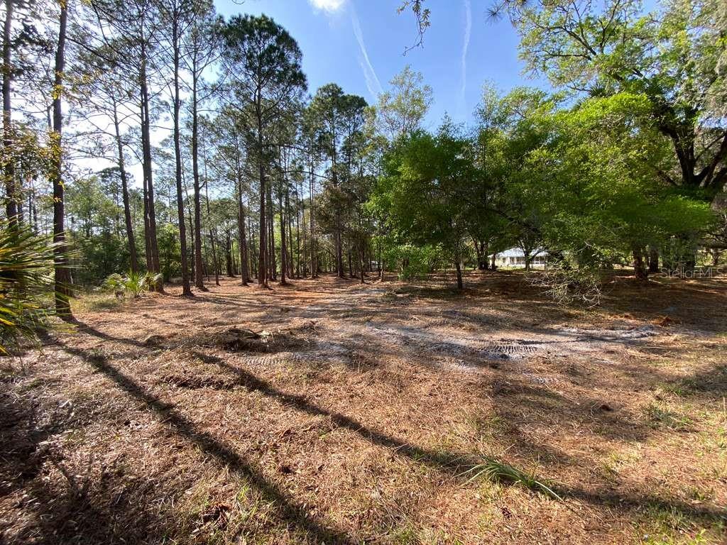 Photo of 7756 N SHILLELAGH AVENUE CRYSTAL RIVER FL 34428
