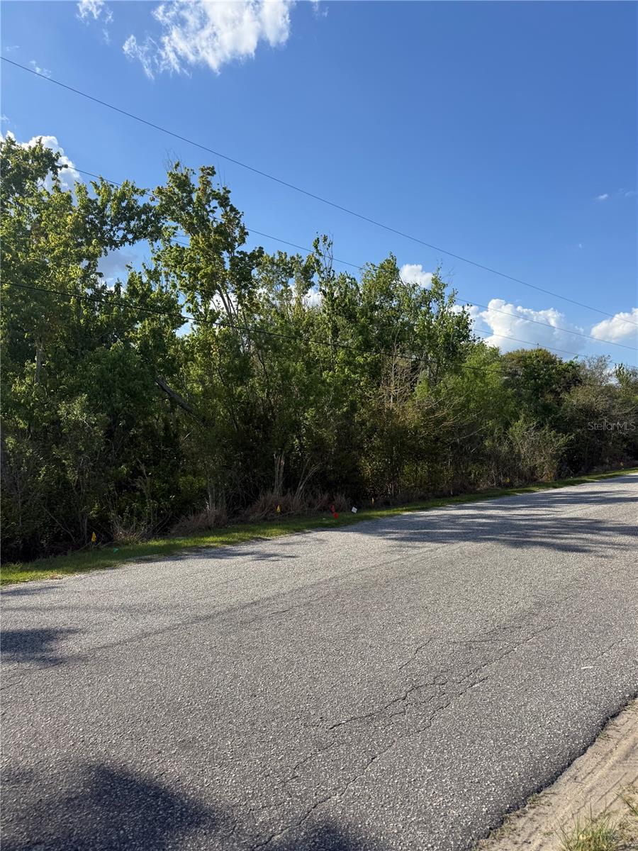 Photo of GADSON STREET GROVELAND FL 34736