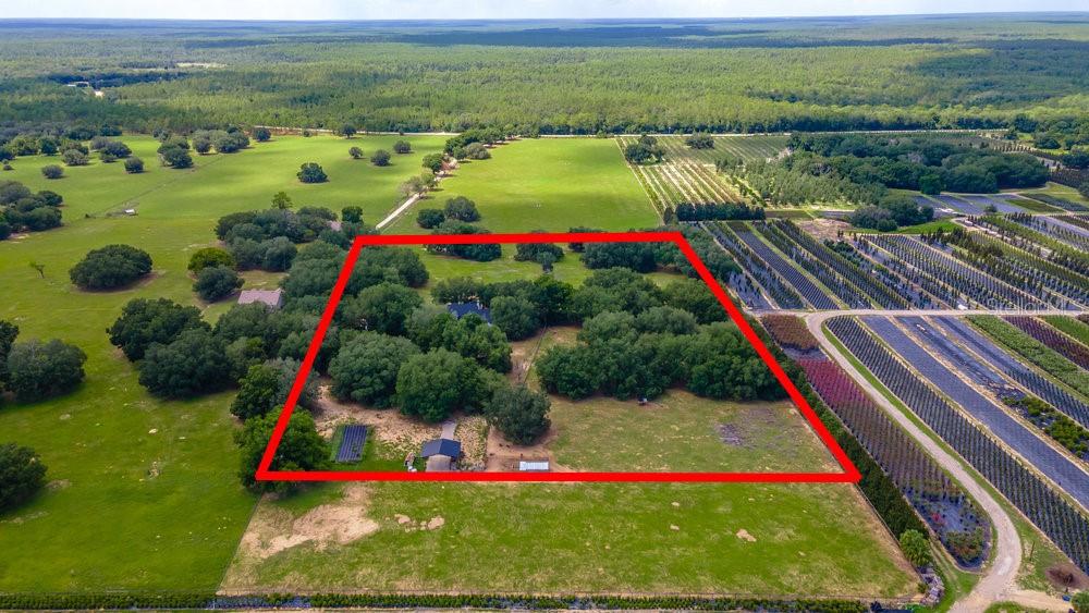 Photo of 23100 SE HIGHWAY 42 UMATILLA FL 32784