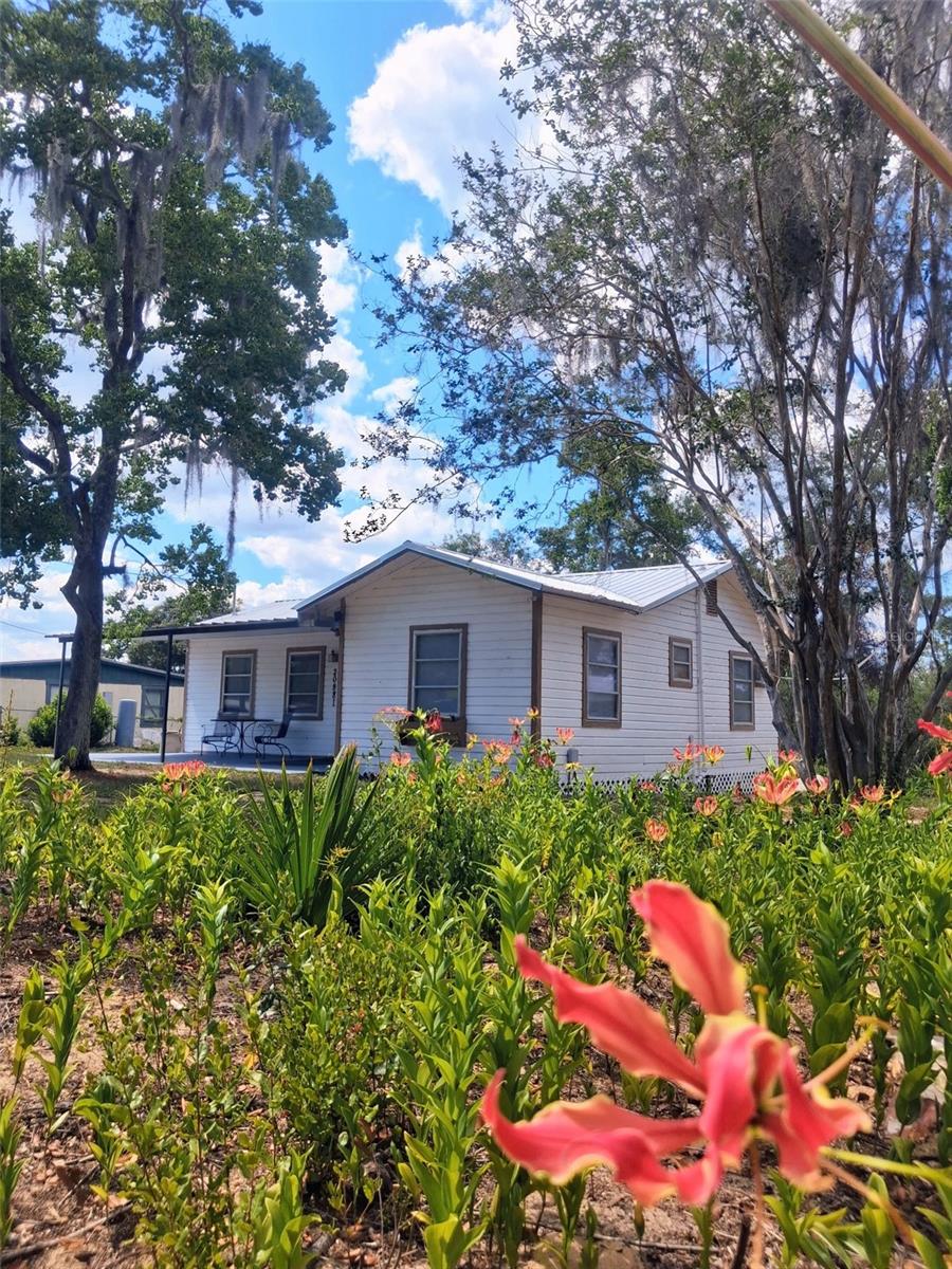 Photo of 20881 SE 142ND PLACE UMATILLA FL 32784