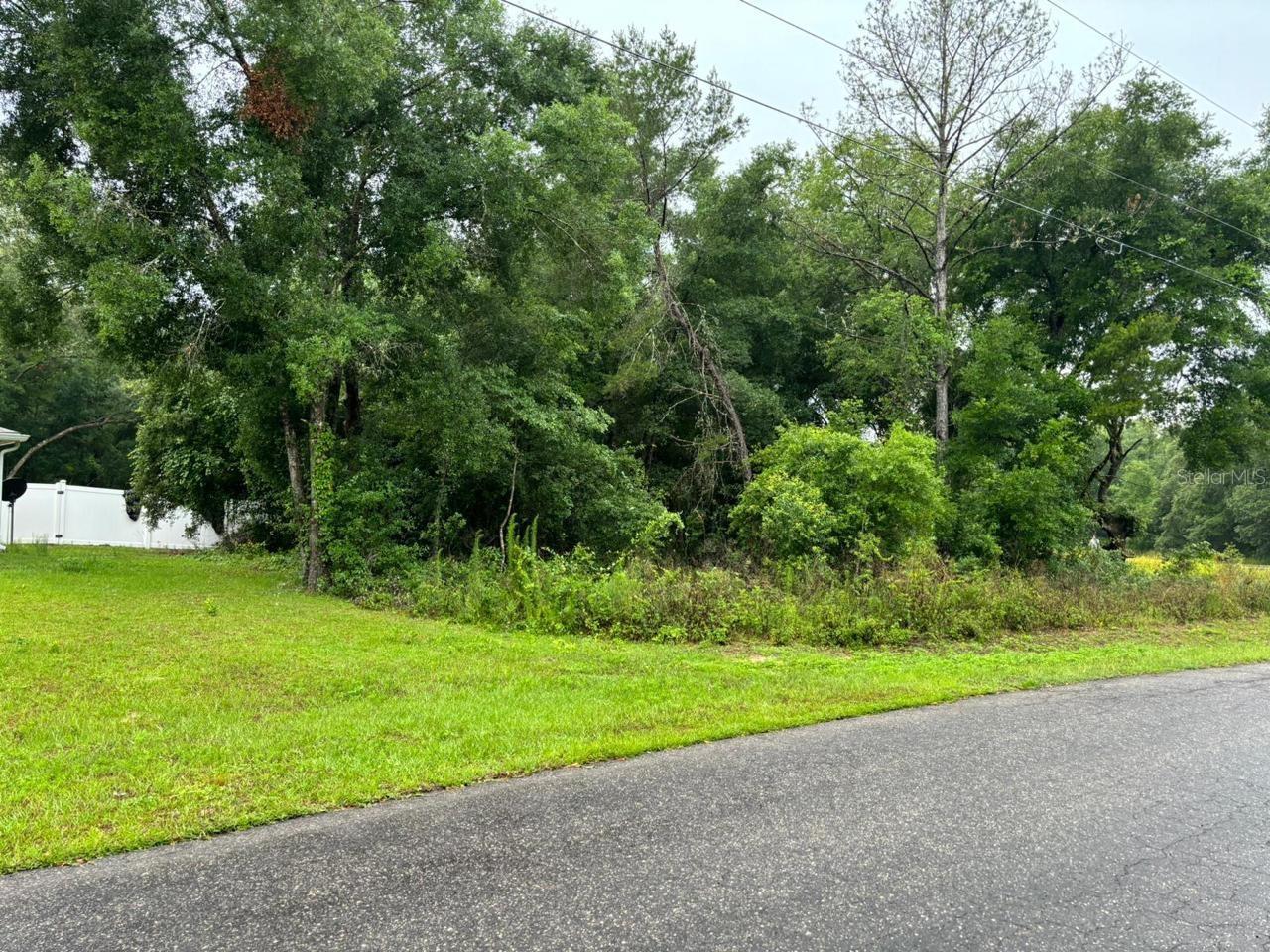 Photo of 1 GUAVA PASS TRAIL OCKLAWAHA FL 32179