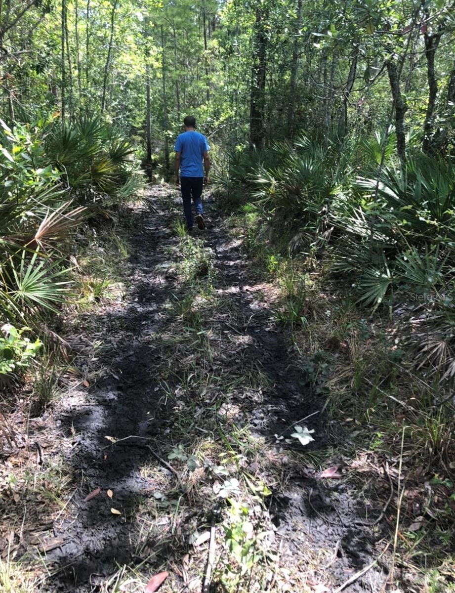 Photo of 2449 OLD TRAIN ROAD DELTONA FL 32738