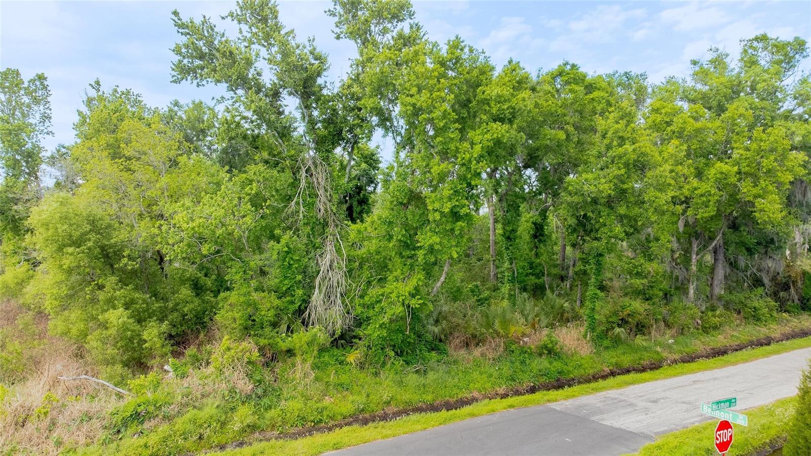 Photo of HICKMAN AVENUE PLANT CITY FL 33563