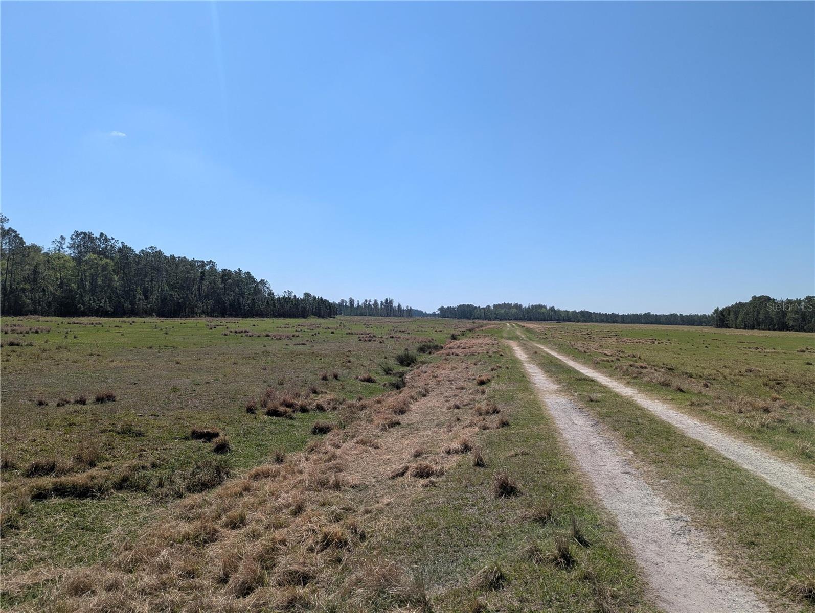 Photo of DEEN STILL ROAD POLK CITY FL 33868