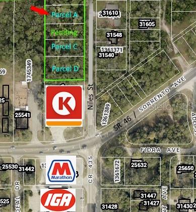 Photo of 31595 NILES STREET MOUNT PLYMOUTH FL 32776