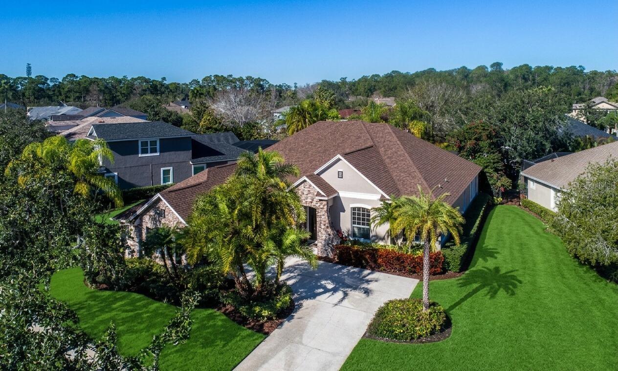 Photo of 11909 MANDEVILLA COURT TAMPA FL 33626