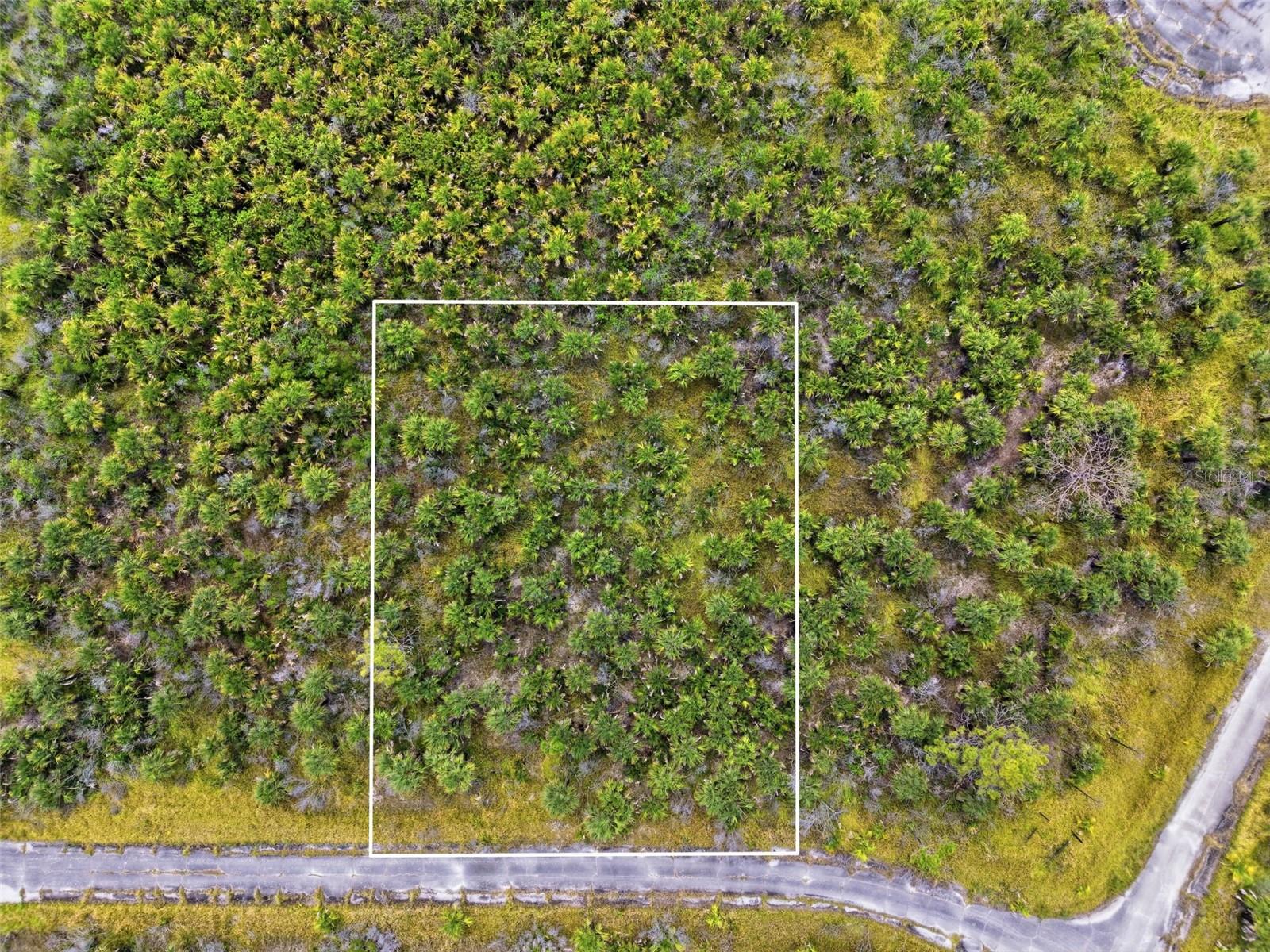 Photo of 2806 FLAMEFLOWER TERRACE PALM BAY FL 32908