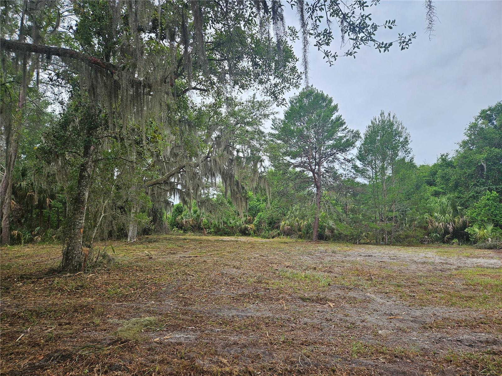 Photo of 000 CULVER WAY GENEVA FL 32732