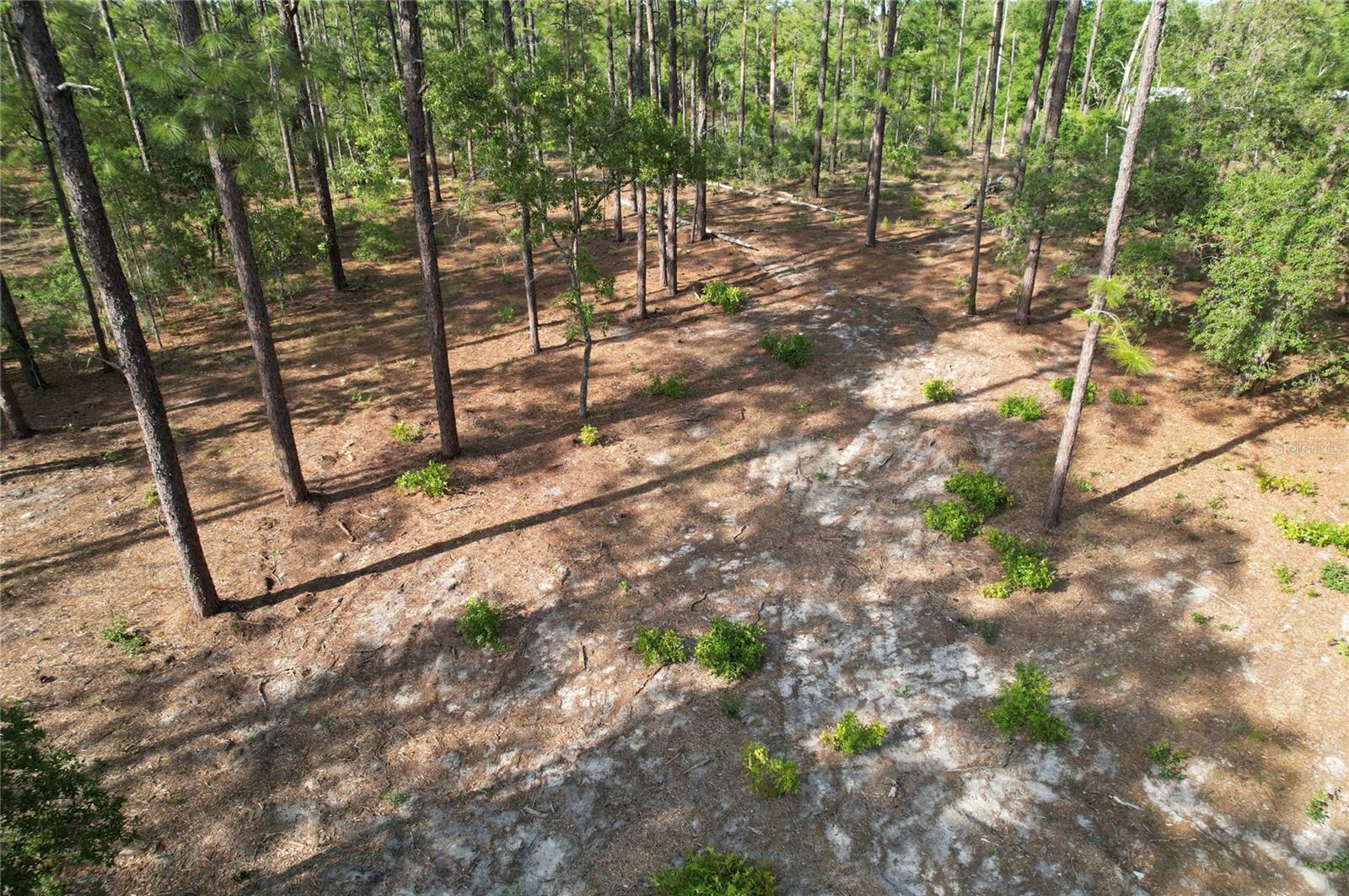 Photo of 148TH COURT MORRISTON FL 32668