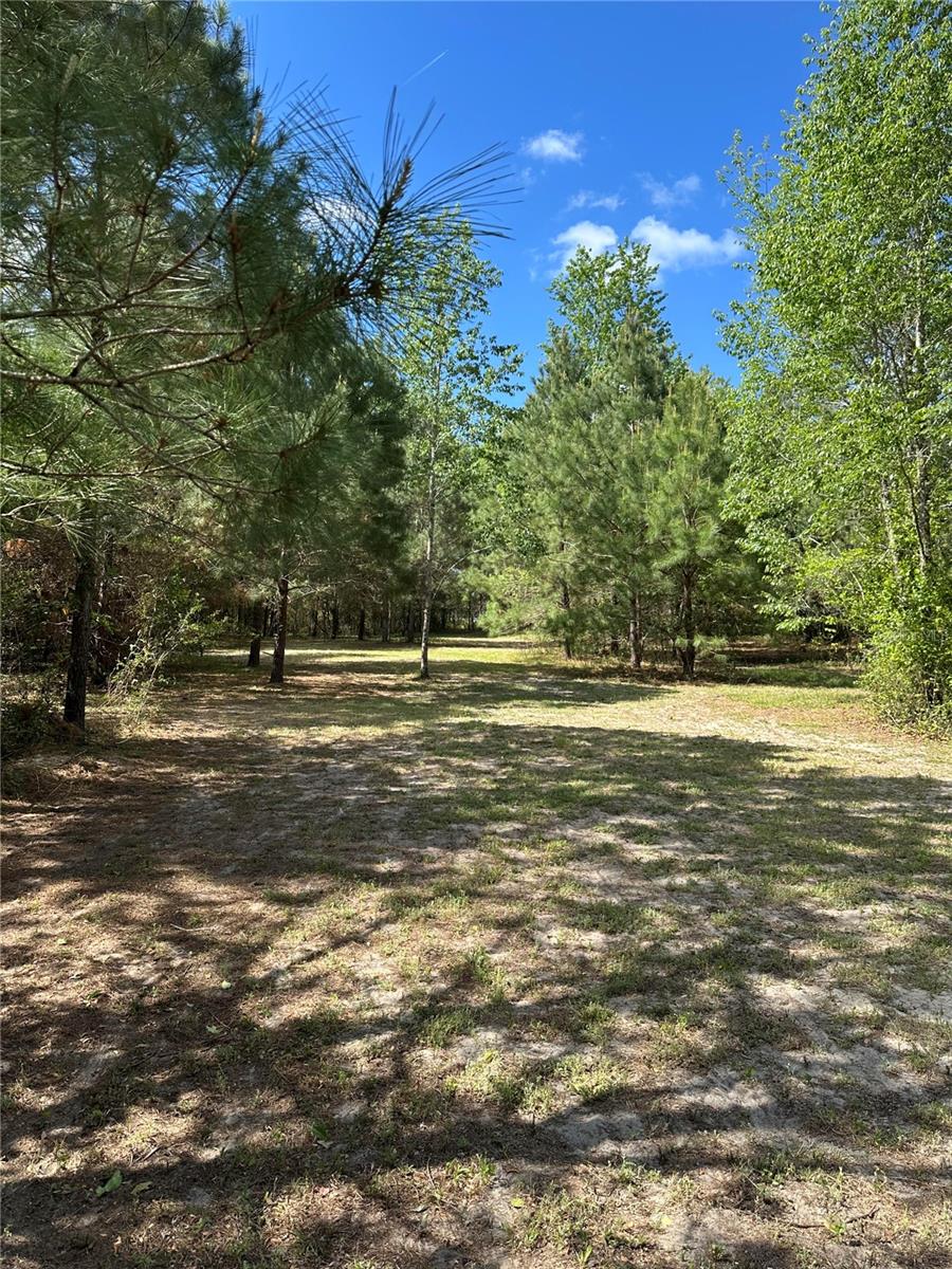 Photo of 1449 SE OCTOBER ROAD LAKE CITY FL 32025