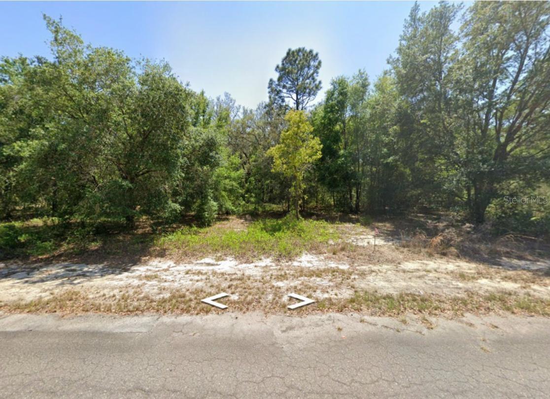 Photo of 0 GUAVA LANE PLACE OCKLAWAHA FL 32179