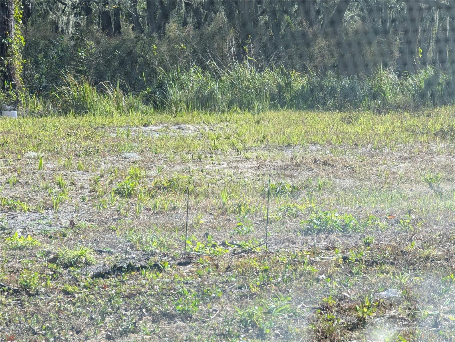 Photo of 0 CENTRAL AVENUE MULBERRY FL 33860