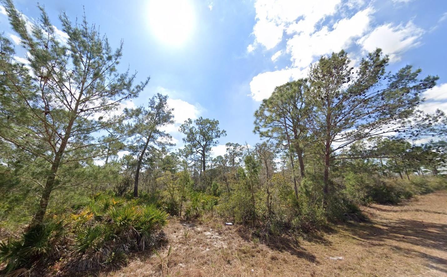 Photo of 3049 CEDAR HILL AVENUE LAKE PLACID FL 33852