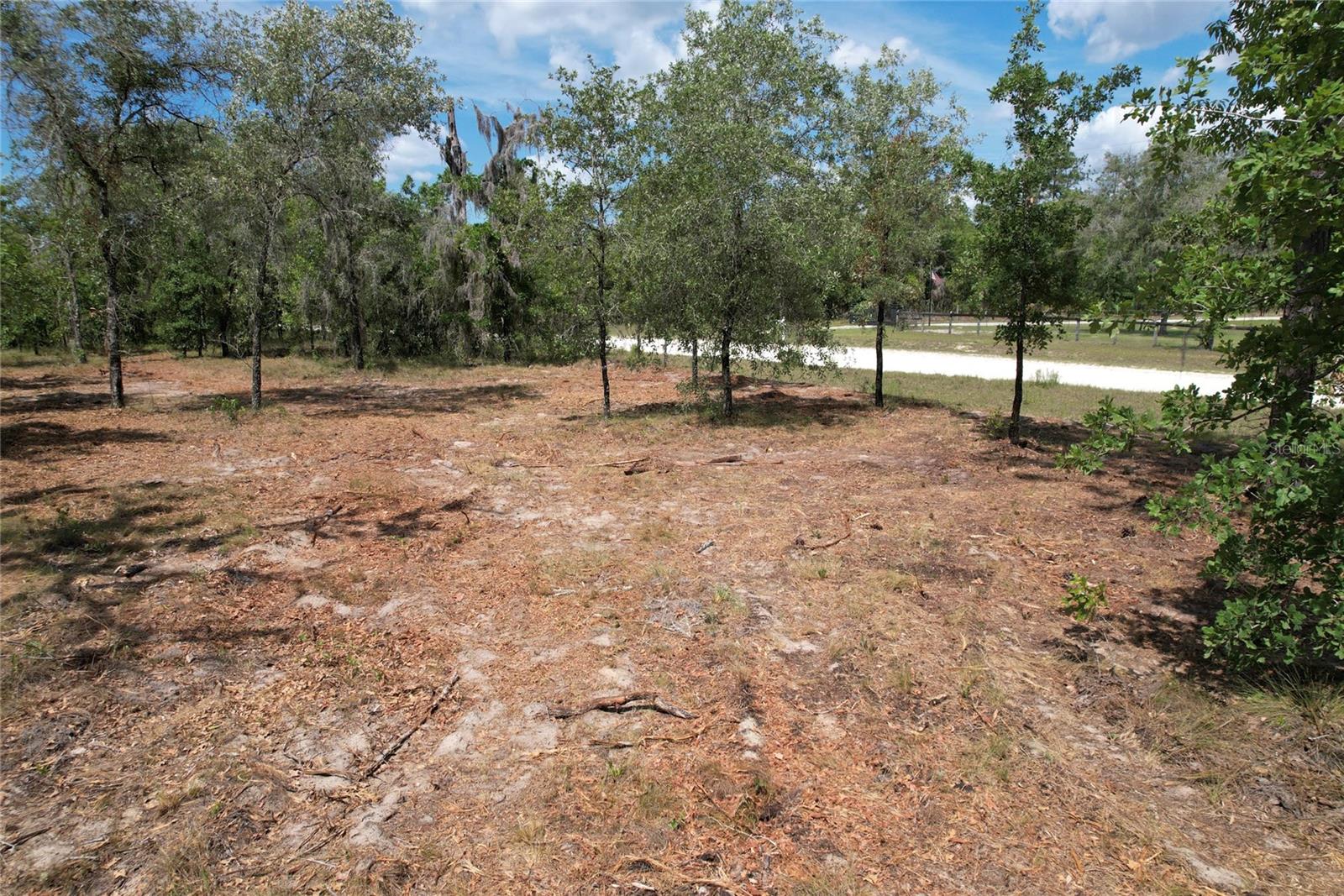 Photo of SE 53RD LANE MORRISTON FL 32668