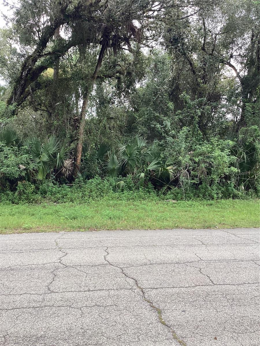 Photo of MARCH LANE LABELLE FL 33935