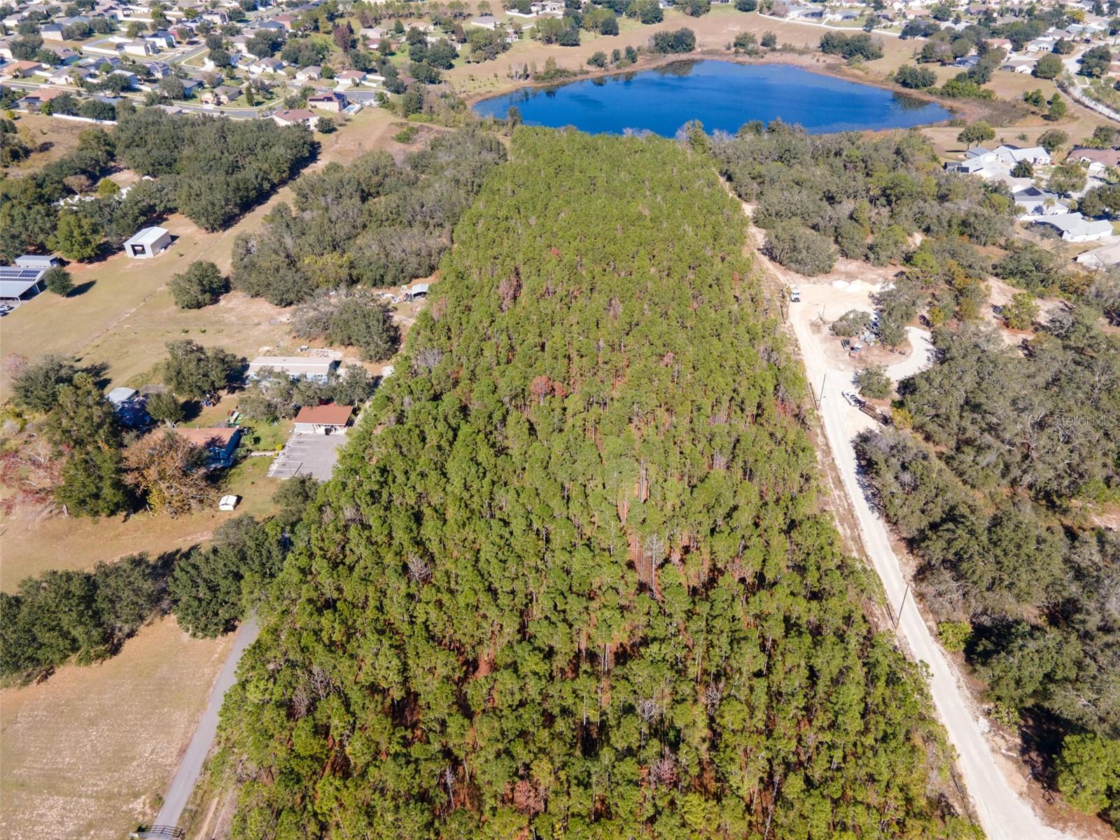 Photo of LOST LAKE ROAD CLERMONT FL 34711