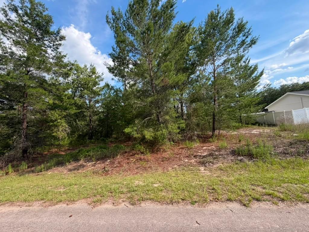 Photo of 131 MALAUKA RUN OCKLAWAHA FL 32179