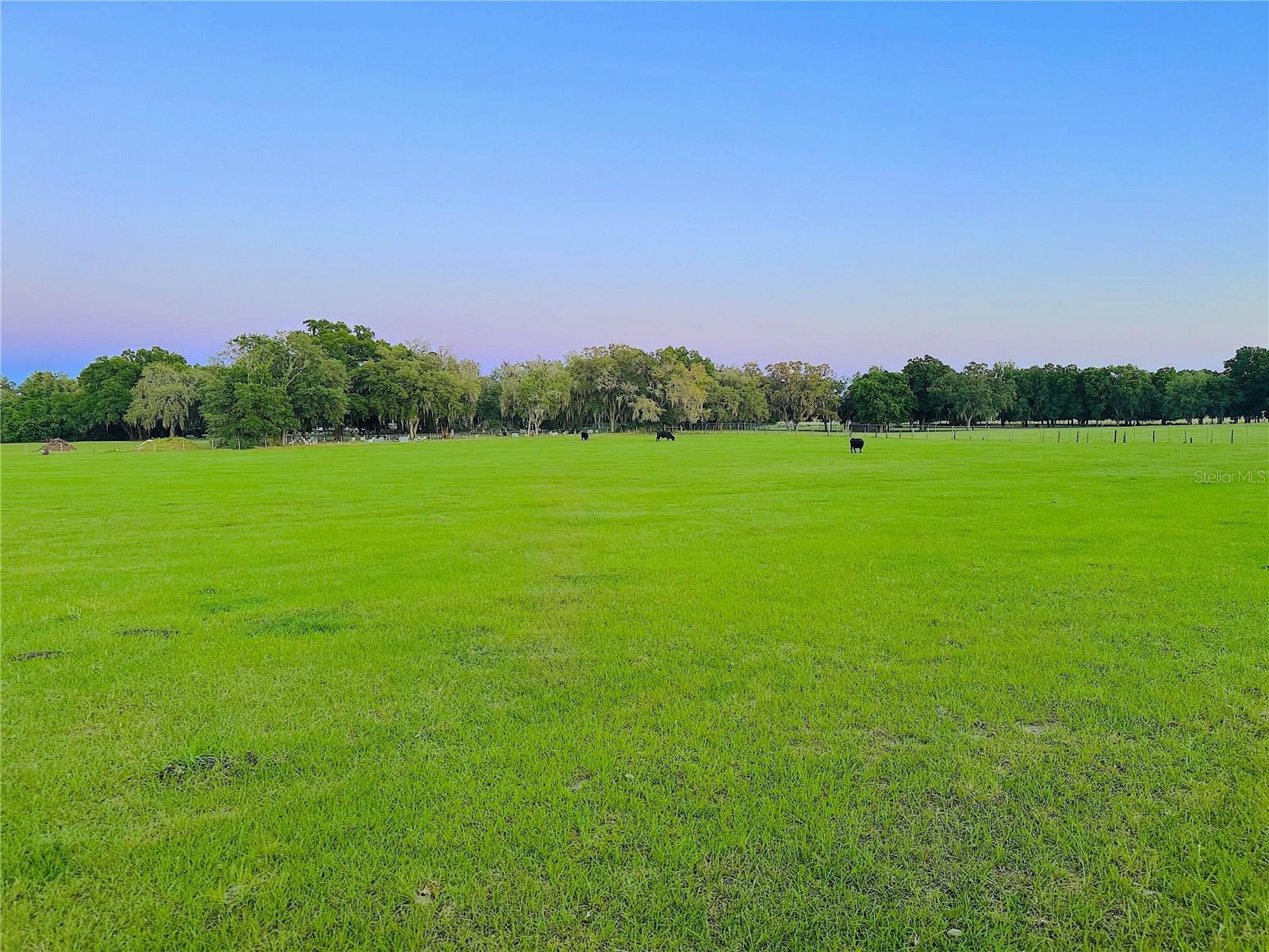 Photo of 10710 MCINTOSH ROAD THONOTOSASSA FL 33592