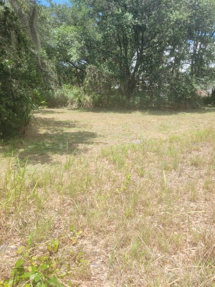 Photo of 6631 MERLE STREET MULBERRY FL 33860