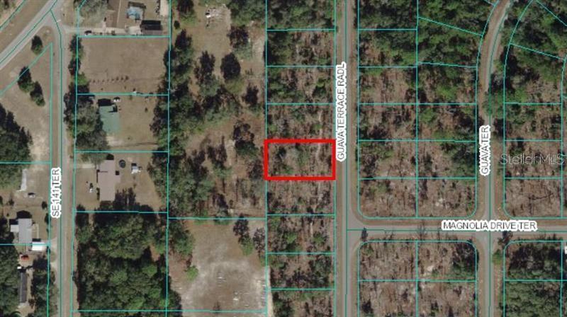 Photo of 0 GUAVA TERRACE RADIAL OCKLAWAHA FL 32179