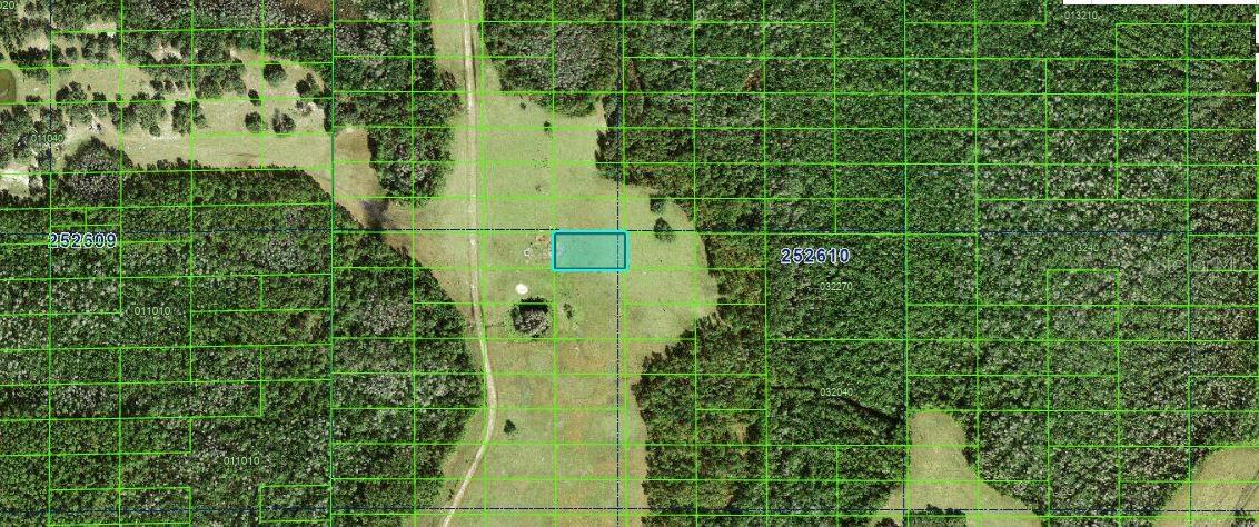 Photo of COMMONWEALTH AVENUE POLK CITY FL 33868