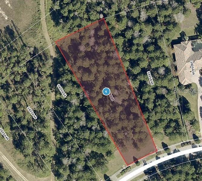 Photo of 16036 PENDIO DRIVE BELLA COLLINA FL 34756
