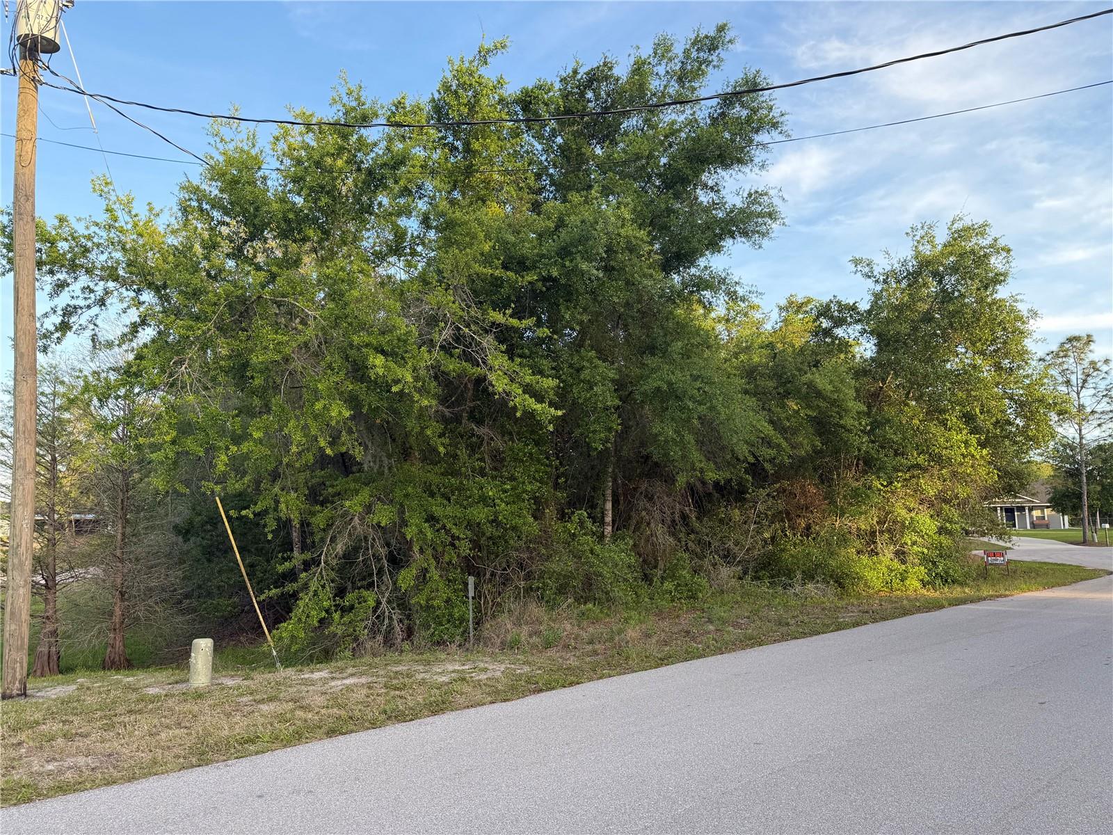 Photo of MAGNOLIA CIRCLE LAKE WALES FL 33898