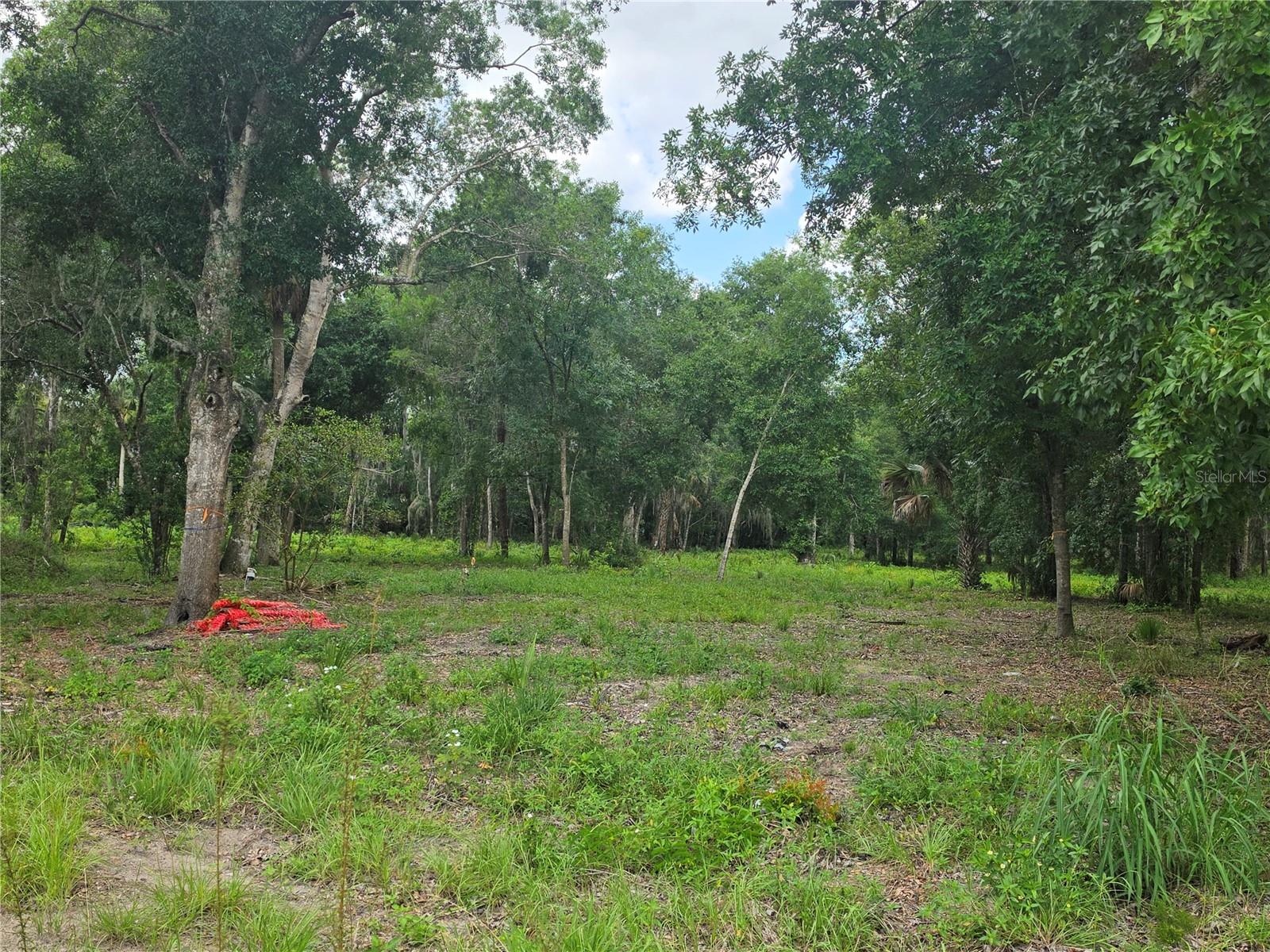Photo of 180 OAK DRIVE OSTEEN FL 32764