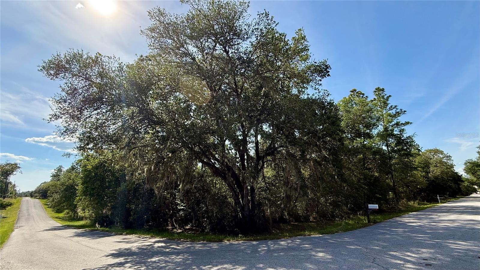 Photo of UNDETERMINED DUNNELLON FL 34431