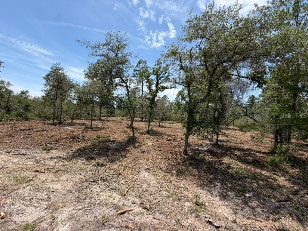 Photo of FISHER WAY TRACK OCKLAWAHA FL 32179