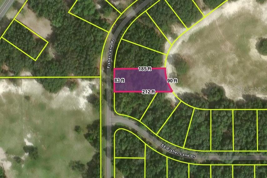 Photo of FISHER LANE PLACE OCKLAWAHA FL 32179