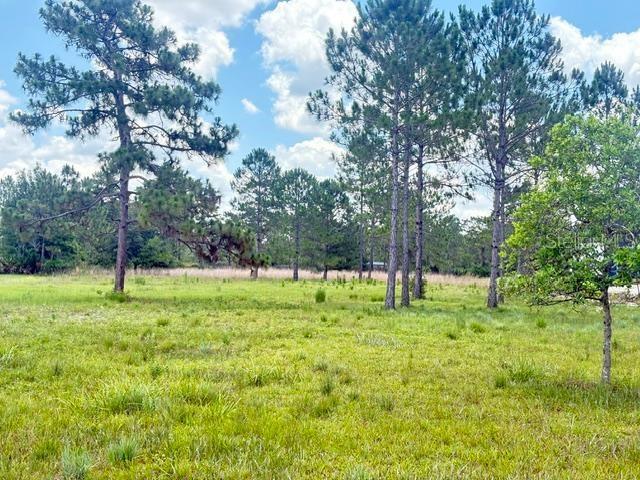 Photo of CAESAR AVENUE ORLANDO FL 32833
