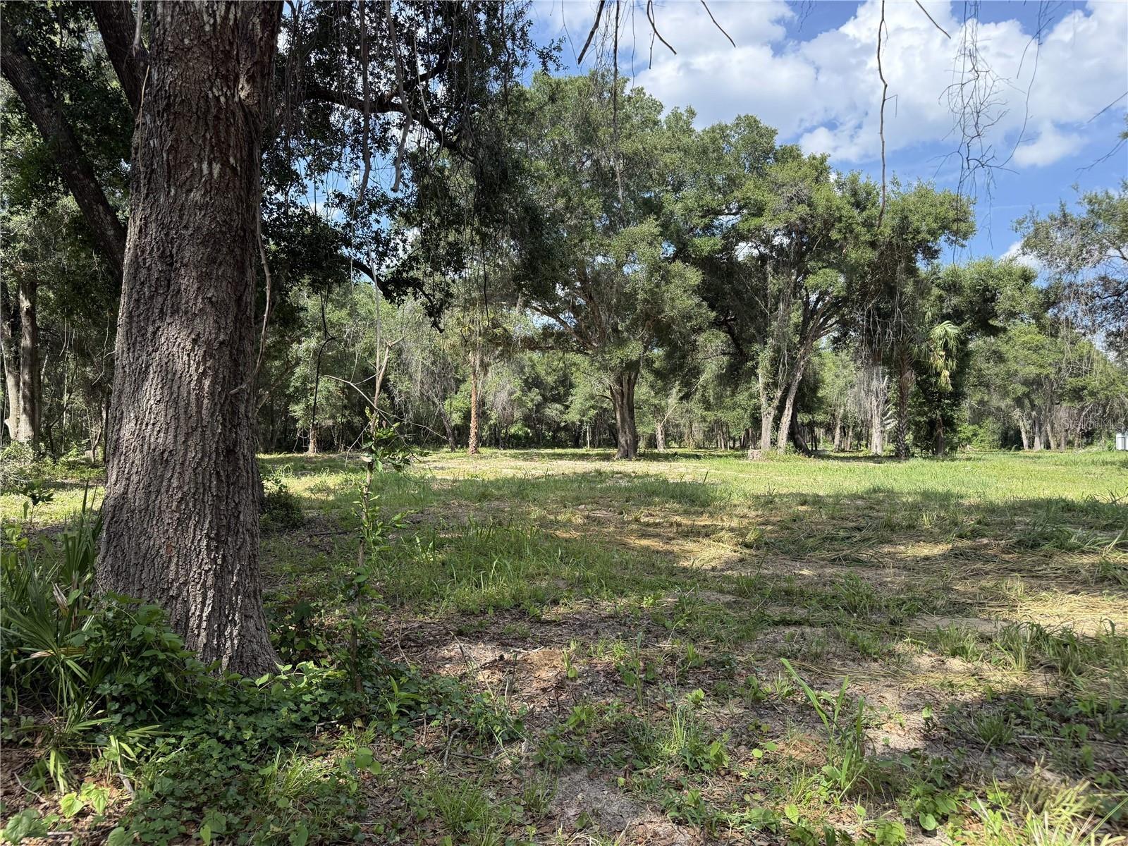 Photo of 620 COCHRAN ROAD GENEVA FL 32732