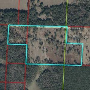 Photo of NE 172ND COURT WILLISTON FL 32696