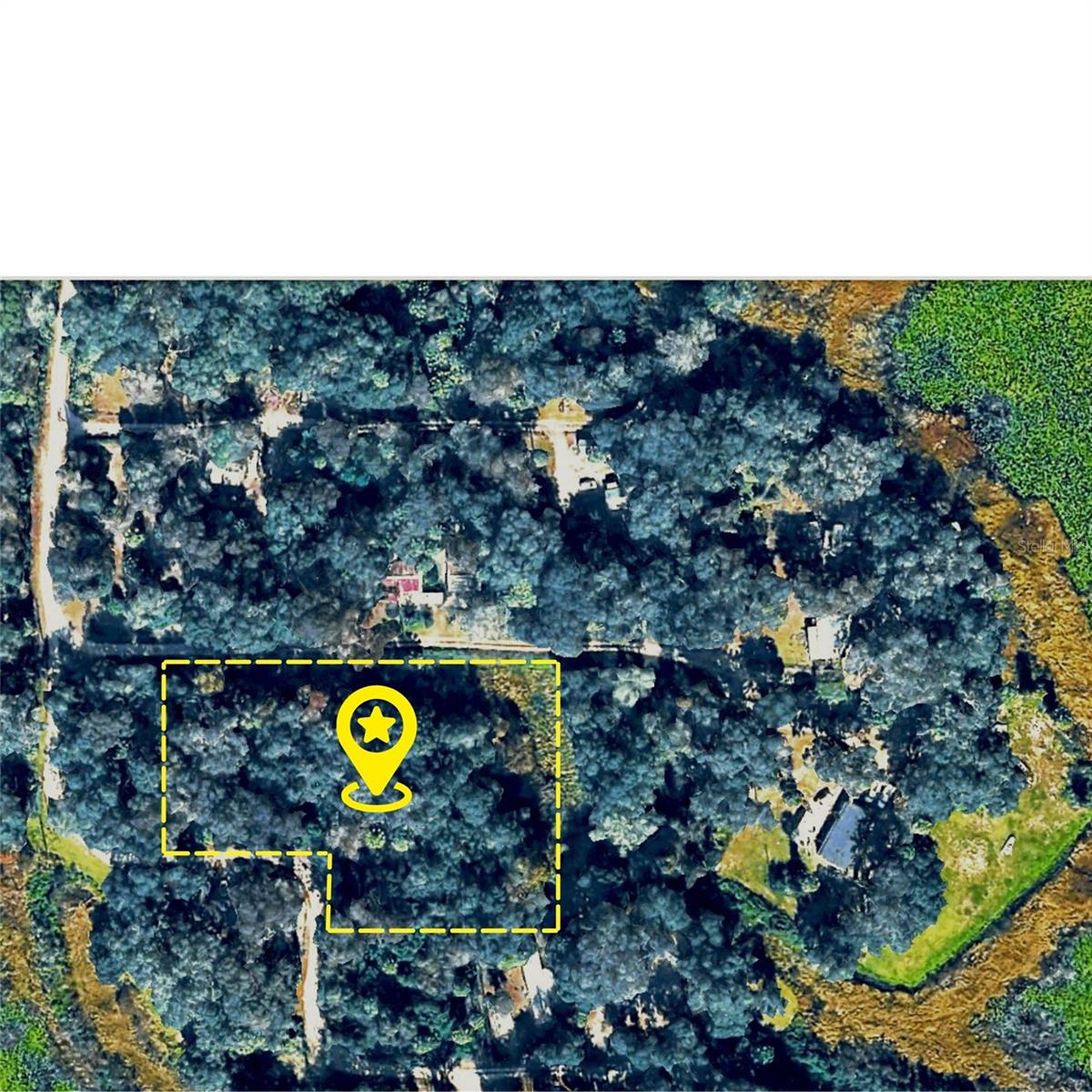 Photo of X NE 31ST TERRACE CITRA FL 32113
