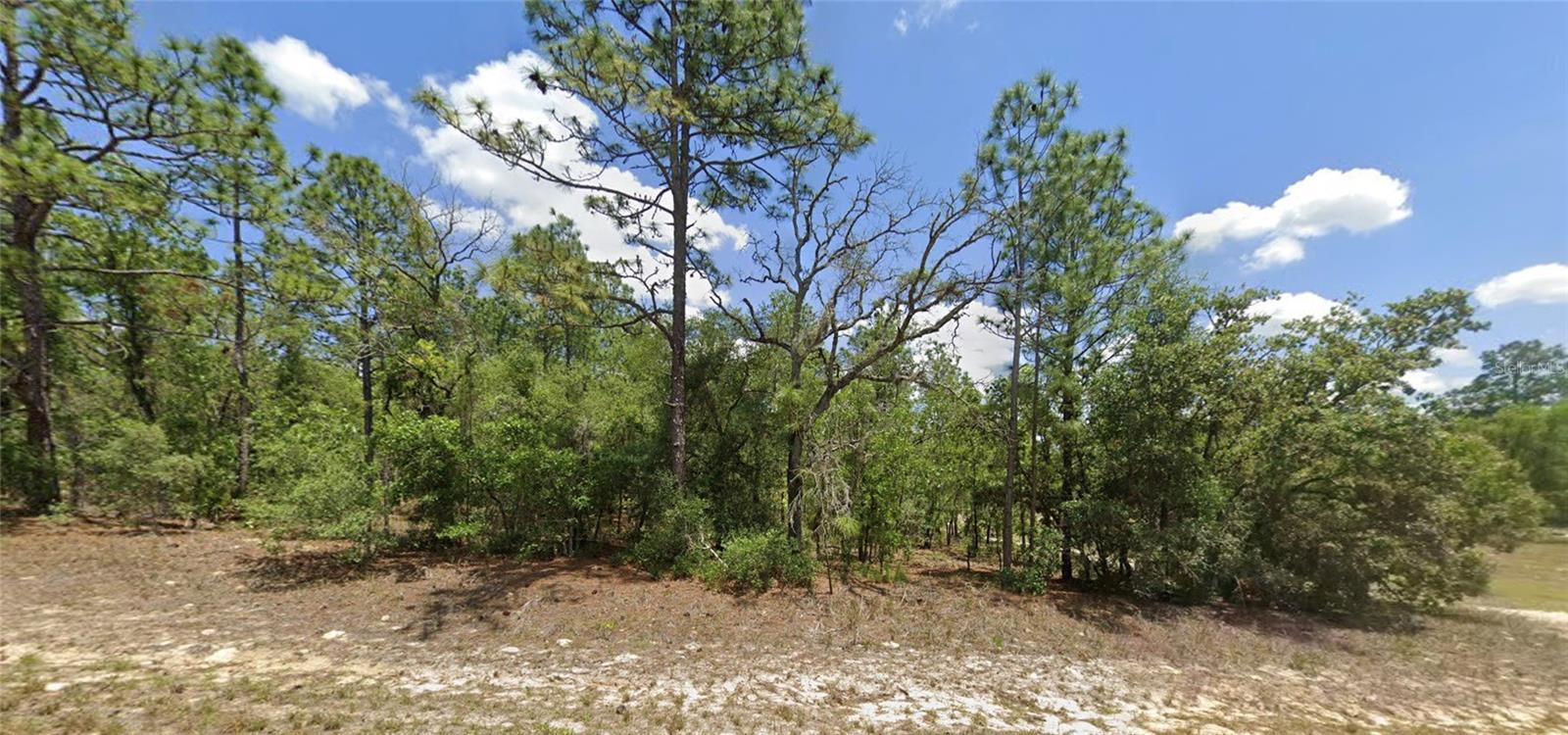 Photo of 9857 N LATHYRUS TERRACE DUNNELLON FL 34433