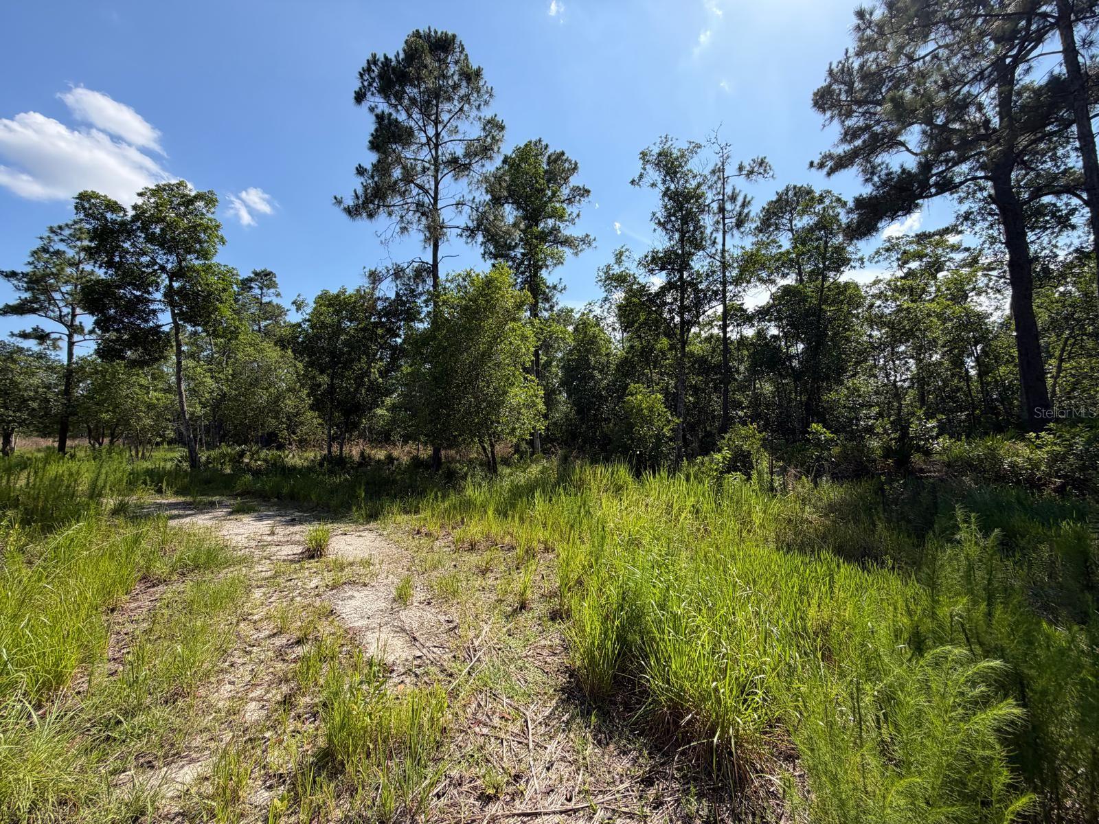 Photo of 1842 SWEETWATER BEND DELTONA FL 32738