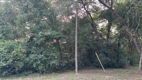Photo of SE 11TH STREET SILVER SPRINGS FL 34488
