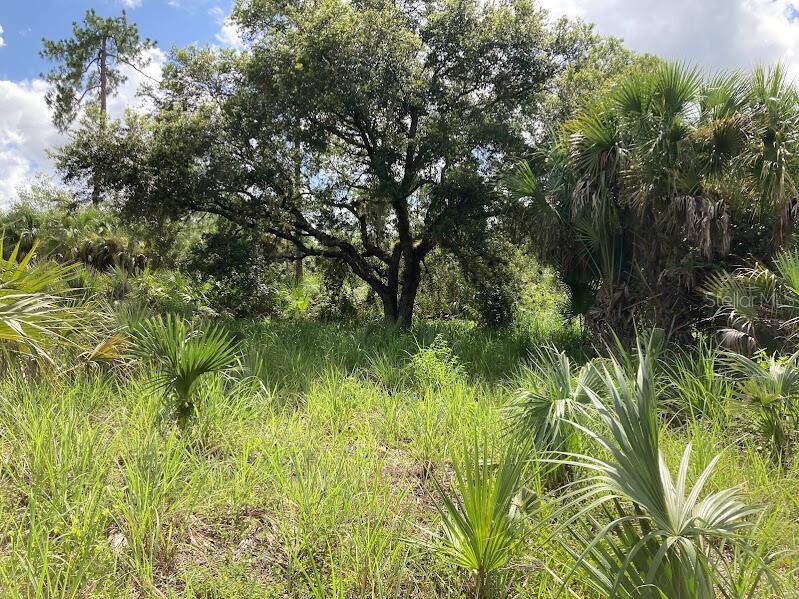 Photo of 4421 24TH AVENUE NAPLES FL 34117