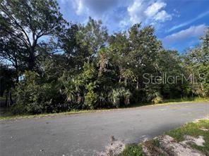 Photo of SIOUX TRAIL KISSIMMEE FL 34747