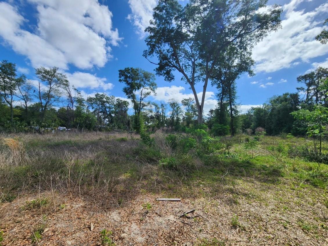 Photo of 947 FERNE DRIVE LONGWOOD FL 32779
