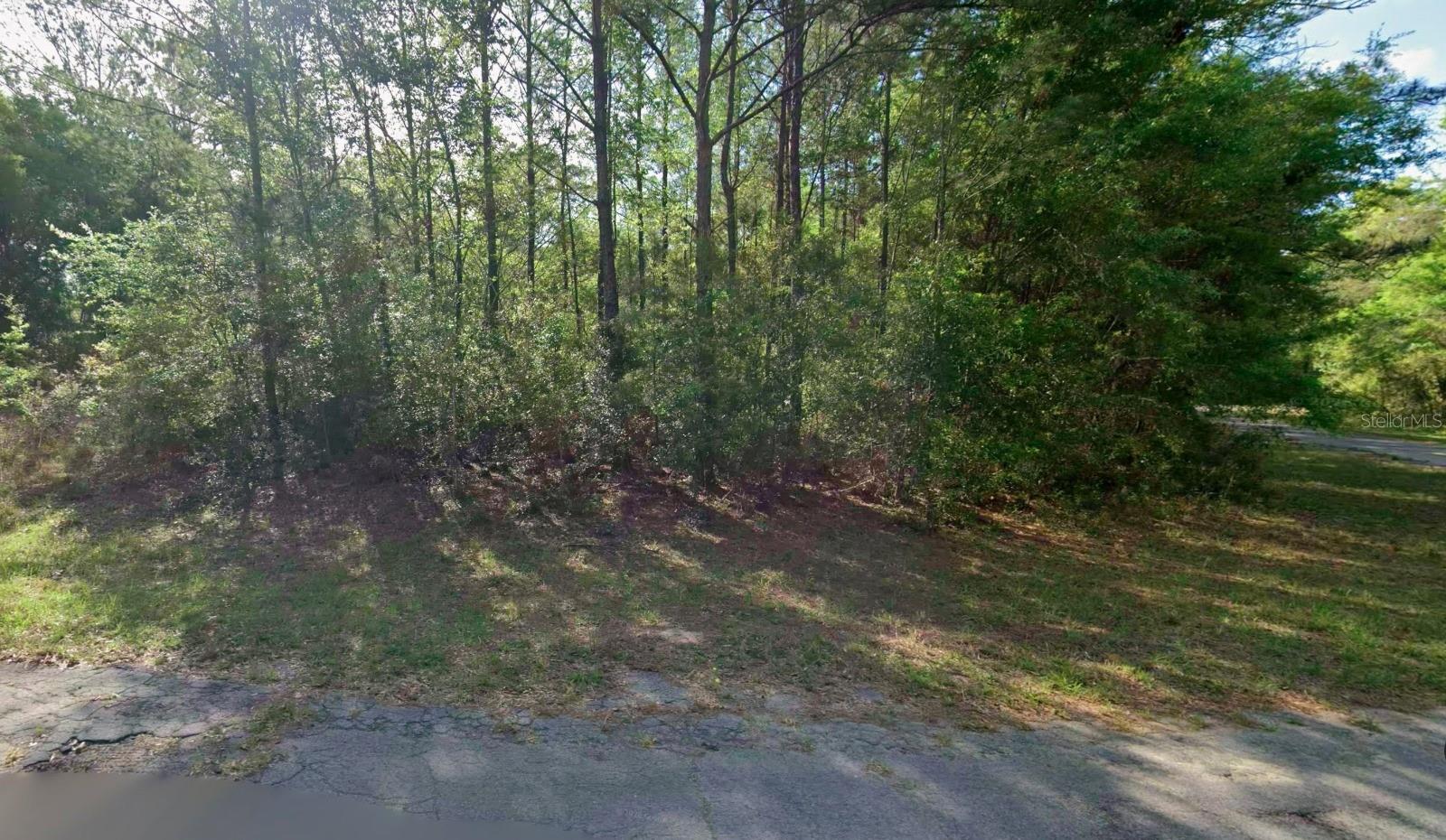 Photo of 8961 N CONCH TERRACE DUNNELLON FL 34434
