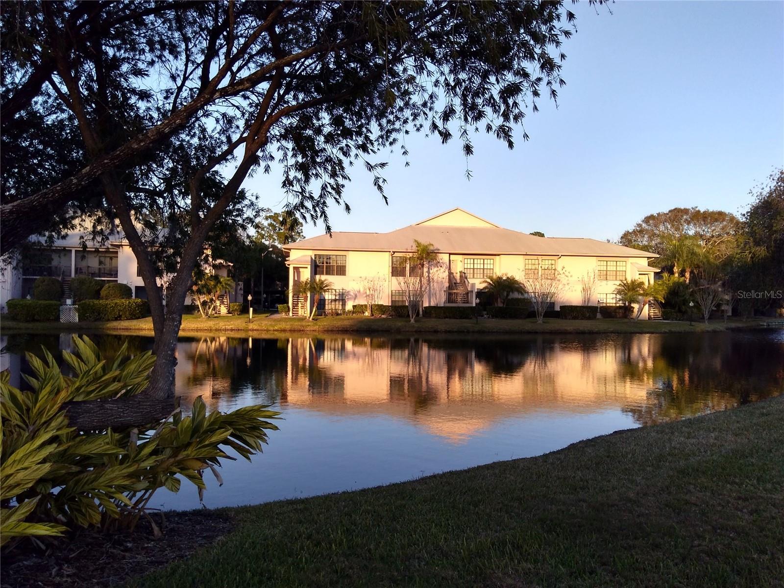 Photo of 3366 MERMOOR DRIVE #206 PALM HARBOR FL 34685